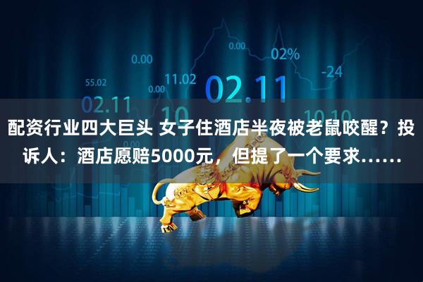 配资行业四大巨头 女子住酒店半夜被老鼠咬醒？投诉人：酒店愿赔5000元，但提了一个要求……