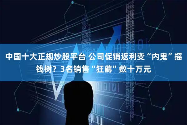 中国十大正规炒股平台 公司促销返利变“内鬼”摇钱树？3名销售“狂薅”数十万元