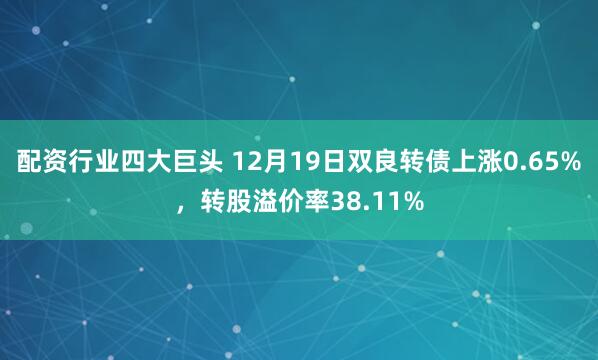 配资行业四大巨头 12月19日双良转债上涨0.65%，转股溢价率38.11%